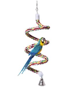 Bird Perch, Rope Bungee Bird Toy