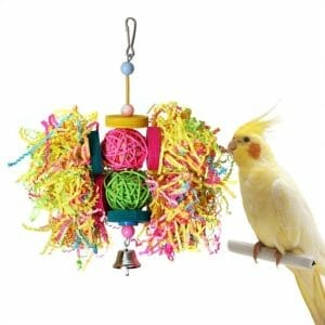 RYPET Bird Swing - Wooden Conure Toys Bird Cage Hammock Swing Hanging Toy for Small Parakeets Cockatiels, Conures, Macaws, Parrots, Love Birds, Finches