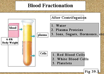 Blood fractionation