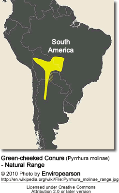 Green-cheeked Conure (Pyrrhura molinae) - Natural Range