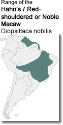 Hahn’s / Red-shouldered Macaw Range Map