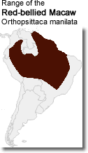 Red-bellied Macaw Range Map