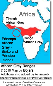 African Grey Distribution Map