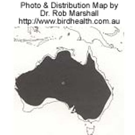 Galah Distribution Map