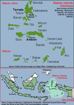 Distribution Map: Maluku Islands