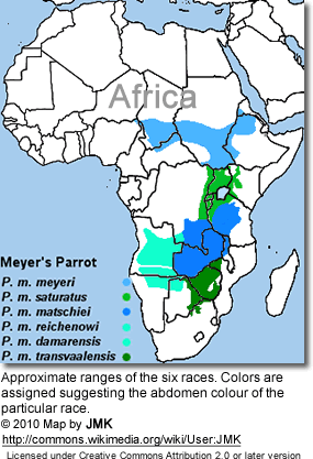 Approximate ranges of the six races. Colors are assigned suggesting the abdomen colour of the particular race.