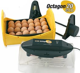 Octagon 20 Eco