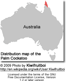 Distribution map of the en:Palm Cockatoo (Probosciger aterrimus)