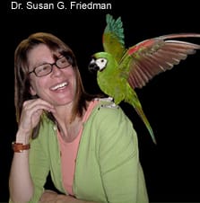 Dr. Susan Friedman