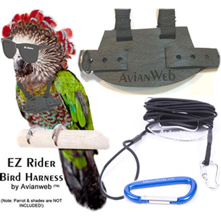 EZ Rider Bird Harness