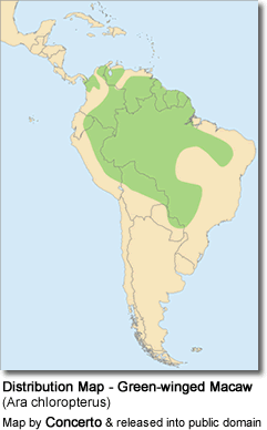 Distribution Map of Green-winged Macaws (Ara chloropterus)