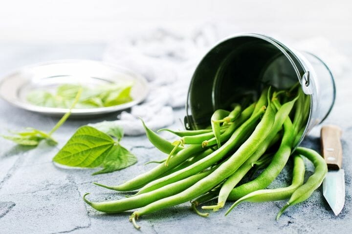 can cockatiels eat green beans