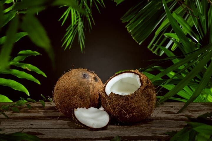 Can Cockatiels Eat Coconut