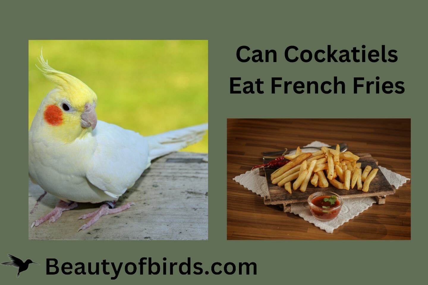 Can Cockatiels Eat French Fries