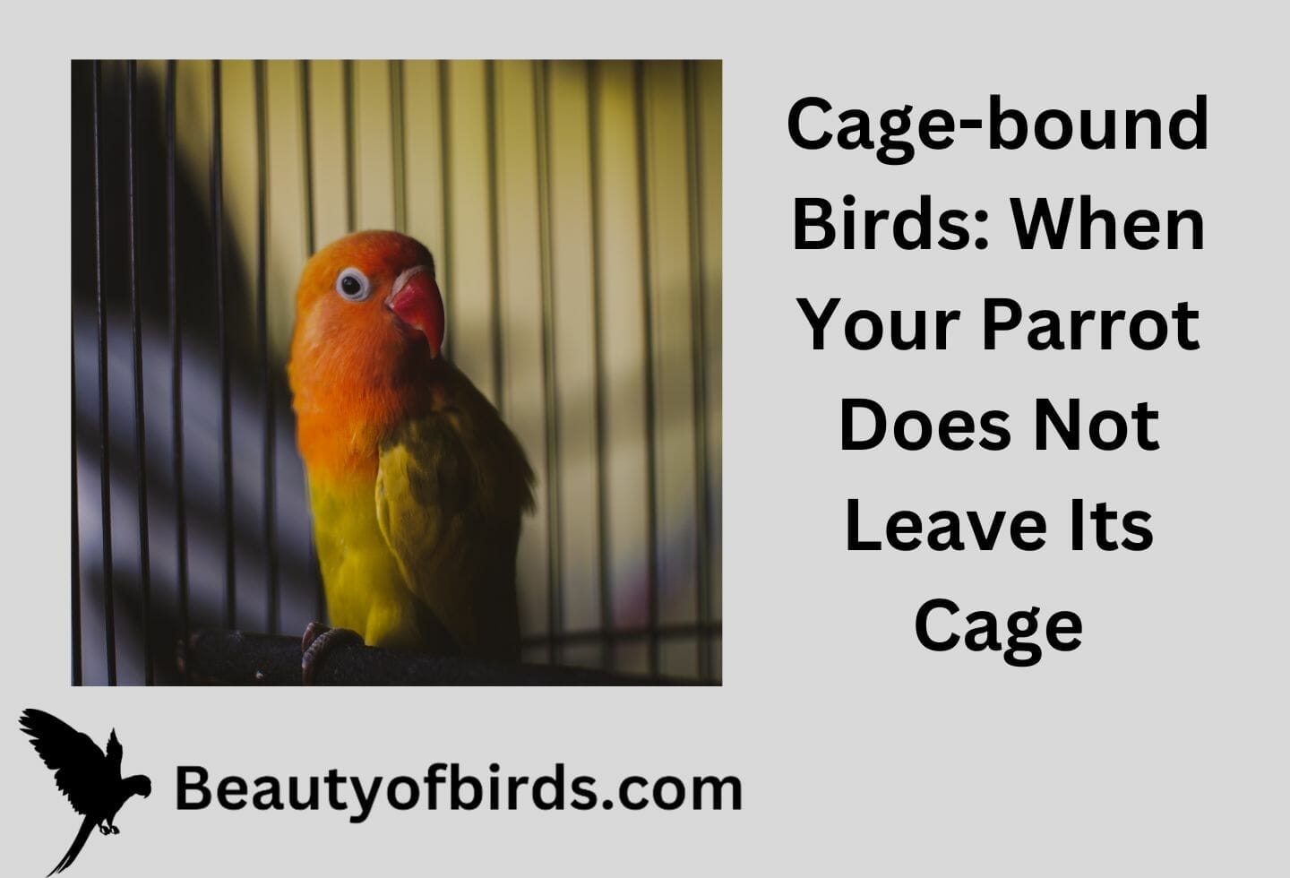Cage-bound Birds
